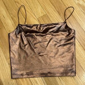 Aritzia Metallic Top